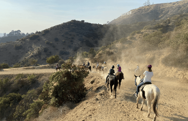 Hollywood Trail Horseback Riding
