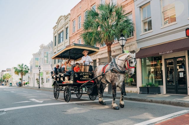 Charleston Carriage Tour