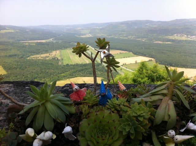 Southern Istria Guided Tour