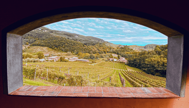 Lucca Wine Tasting