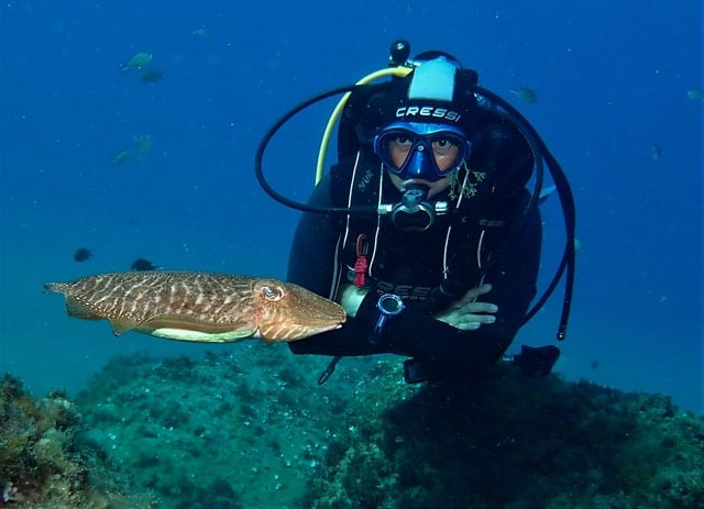 Puerto del Carmen Snorkeling