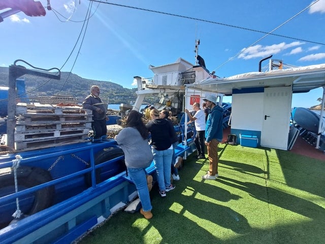 Vigo Estuary Catamaran Tour