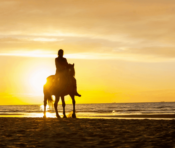 Cartagena Sunset Cruise