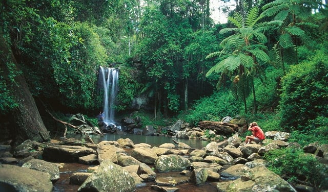 Tamborine Mountain Hop-on Bus