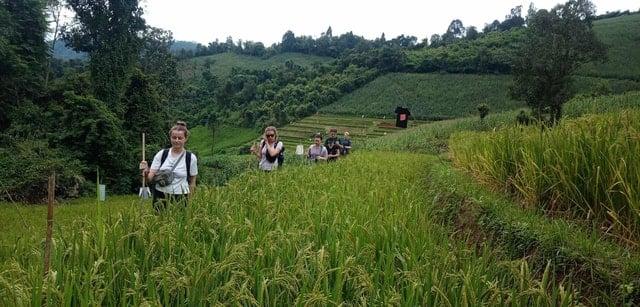 Chiang Mai City Tour
