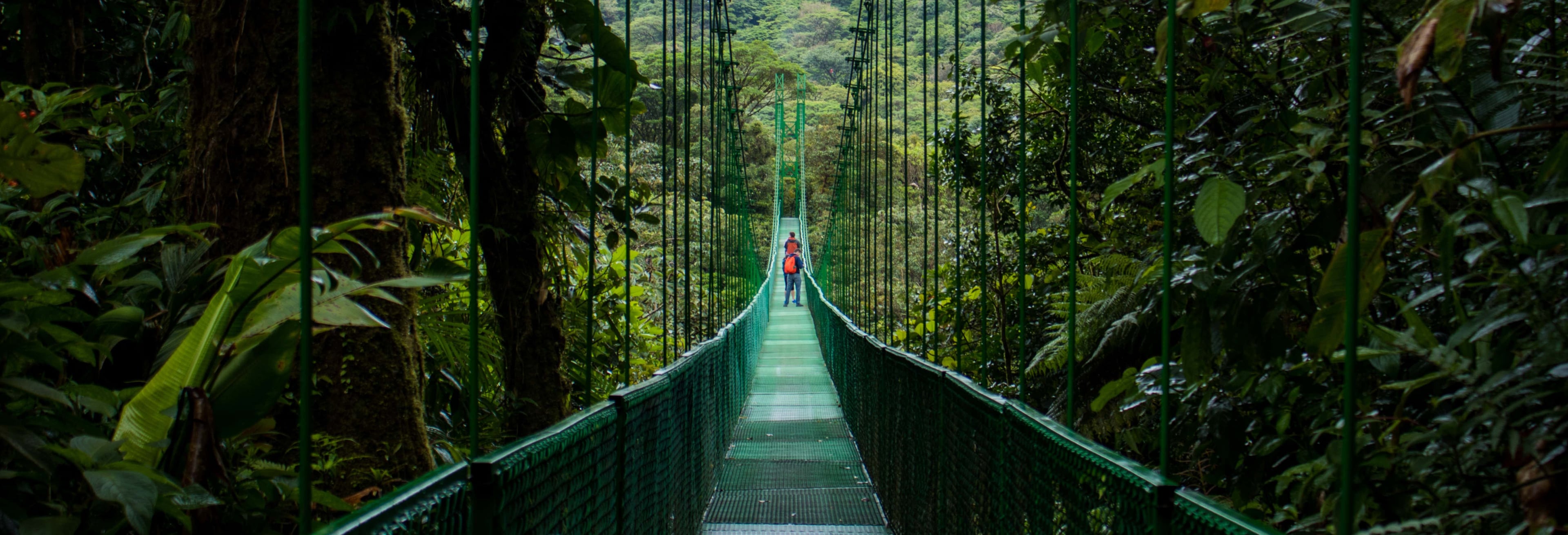 Monteverde Hanging Bridges Tour