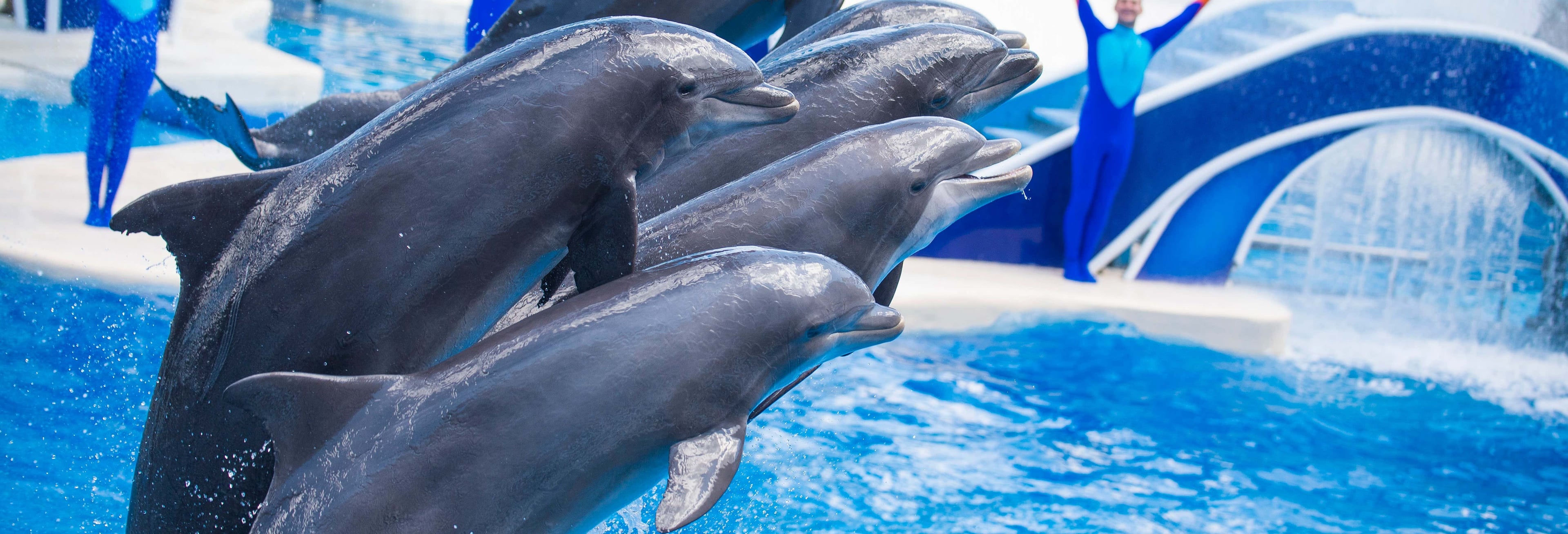 SeaWorld San Diego