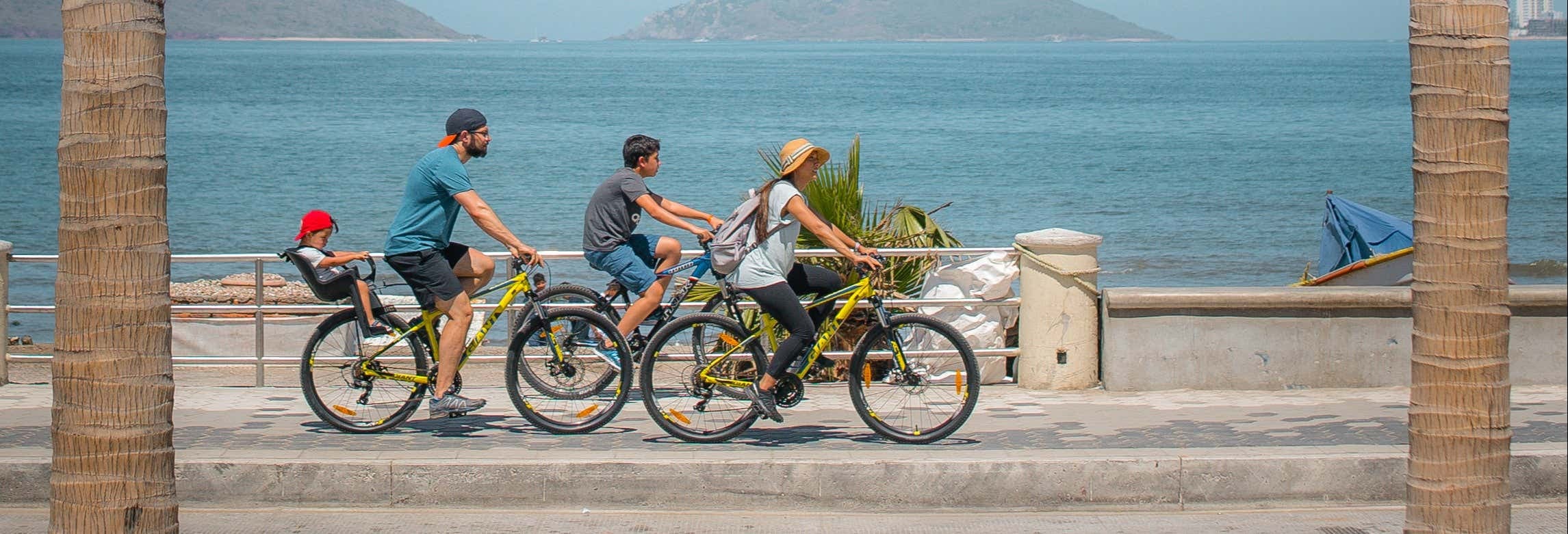 Mazatlan Private Van Tour