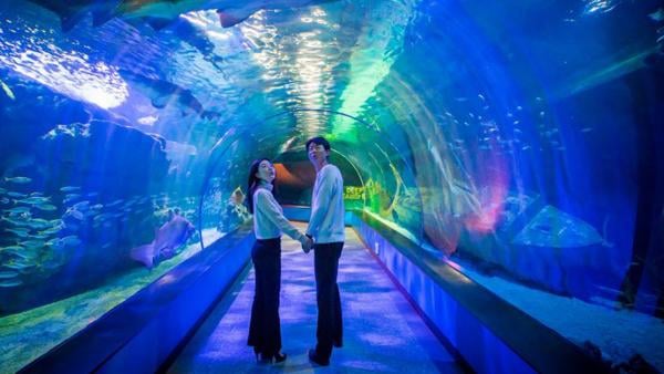 Busan Aquarium