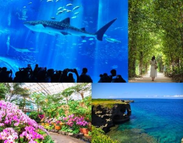 Okinawa Full-Day Sightseeing Bus Tour