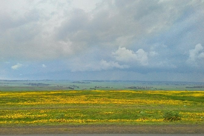 Rift Valley Lakes Tour
