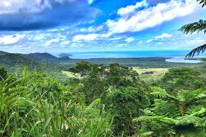 Cape Tribulation