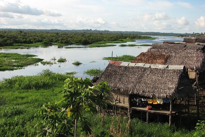 Amazon Jungle Adventure - Iquitos