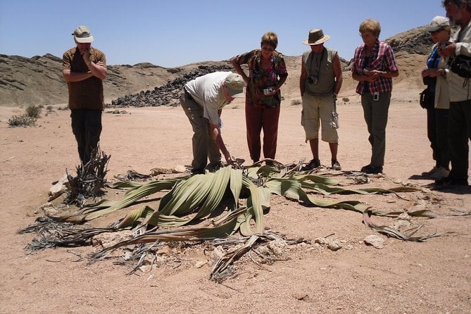 Welwitschia Exclusive Tour