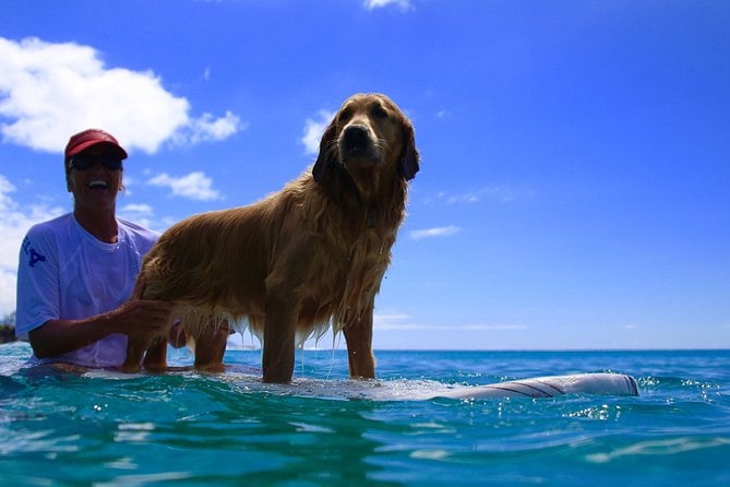 North Shore Surf Lesson