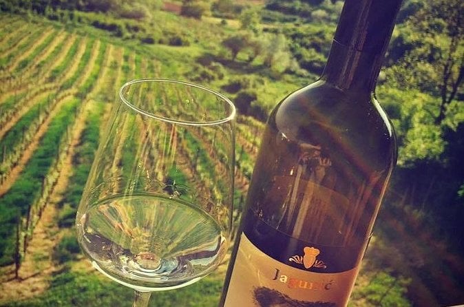 Hrastje Plešivičko Wine Tasting
