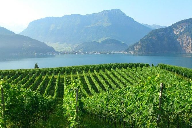 Lake Lucerne Wine Tasting