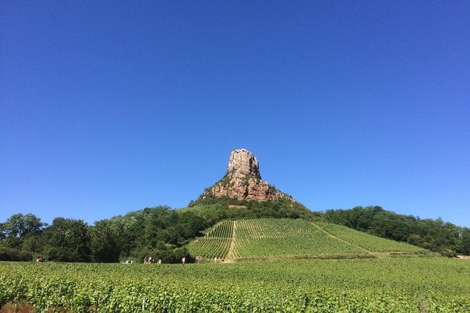 Beaujolais Wine Tour