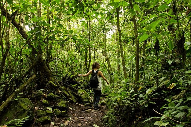 Chingaza Natural Park Tour