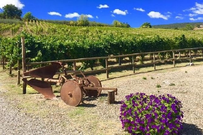Chianti E-Bike & Wine Tour