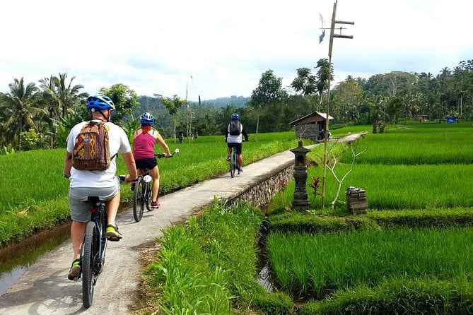 Ubud Downhill Cycling