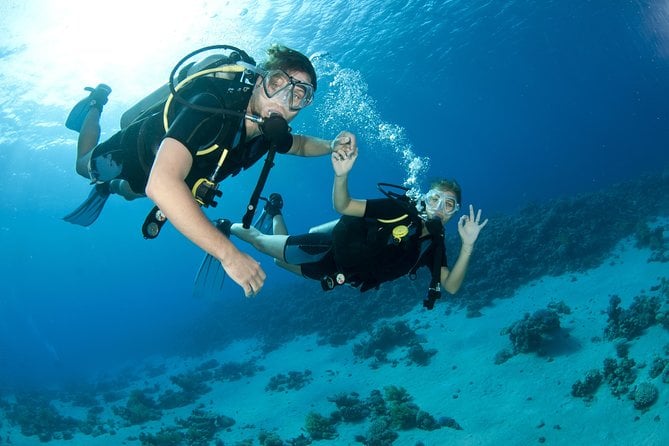 Fujairah Diving