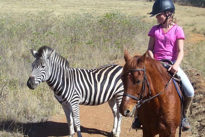 Hartbeespoort Horseback Safari
