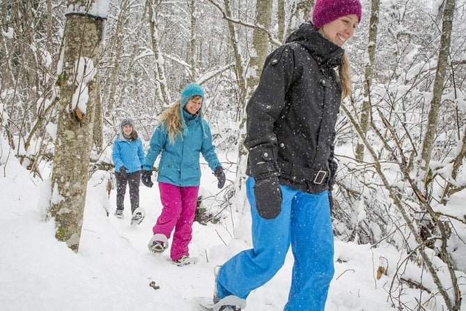 Jacques-Cartier National Park Skiing