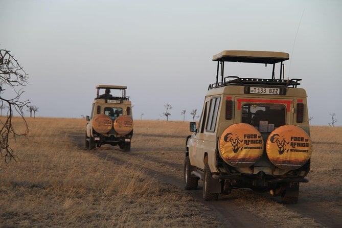 Ngorongoro Crater Safari