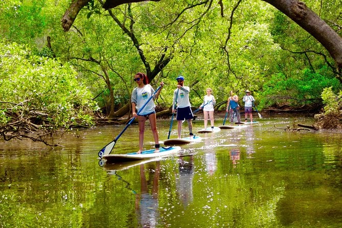 Byron Bay Sea Kayak Tour