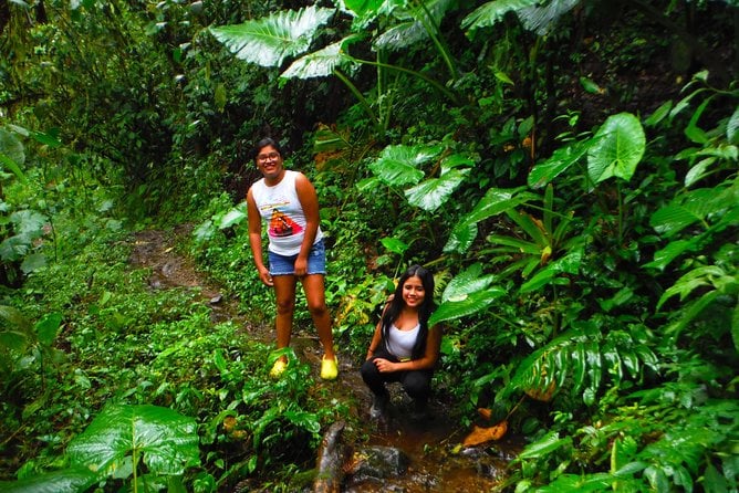 Bucay Cloud Forest Excursion