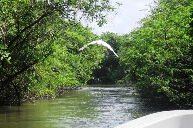 Tres Palos Lagoon Tour