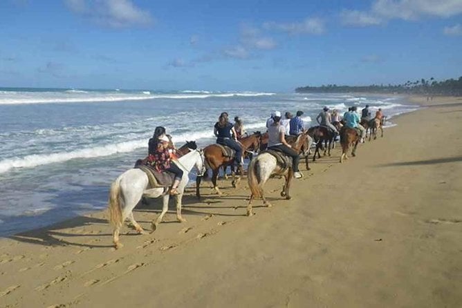 Punta Cana Horseback Riding