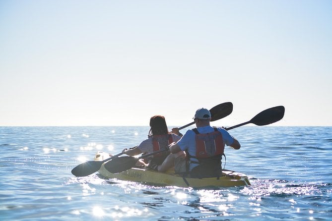 Los Cabos Glass-bottom Boat