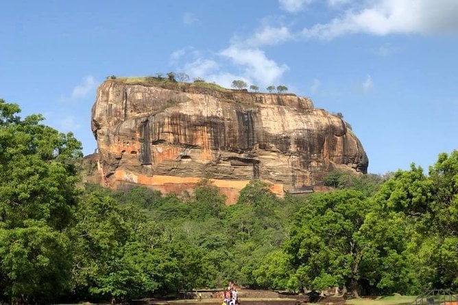 Sigiriya & Minneriya Safari Tour