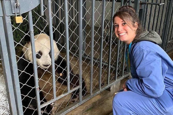 Panda Volunteer Experience