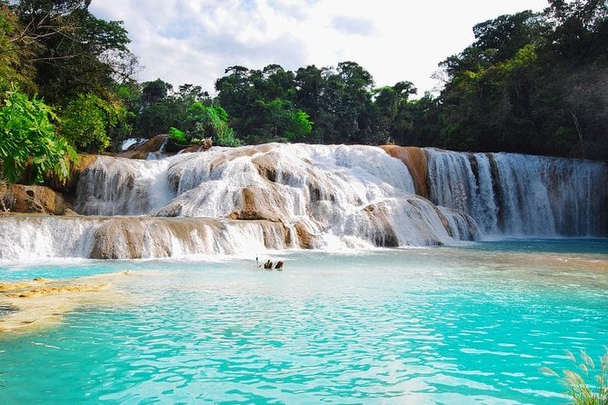 Agua Azul Waterfalls Tour