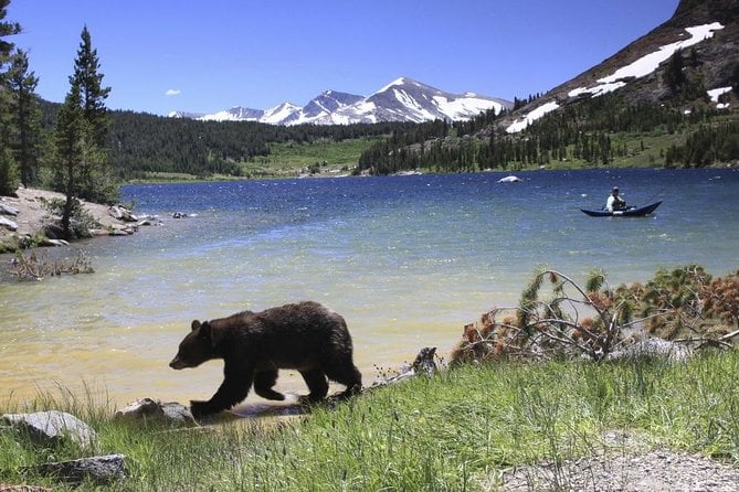 Yosemite Day Tour
