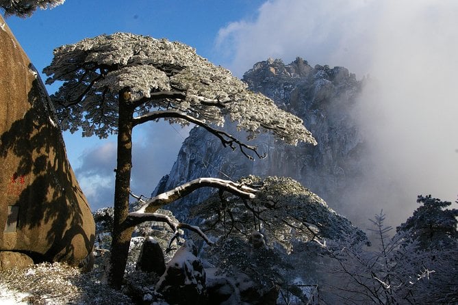 Huangshan Yellow Mountain Tour