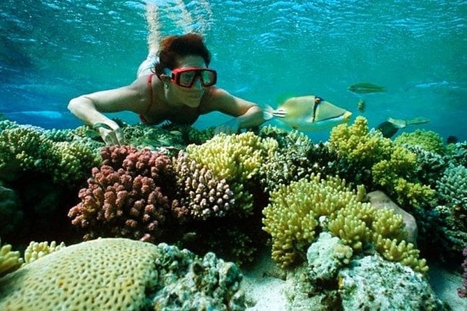 Utopia Island Snorkeling