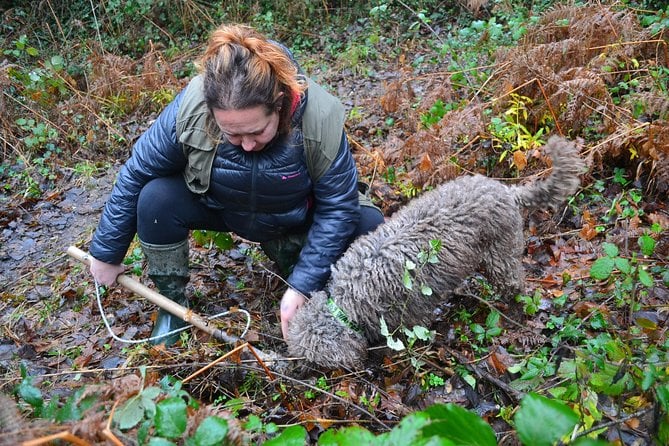 Tuscany Truffle Hunt Adventure