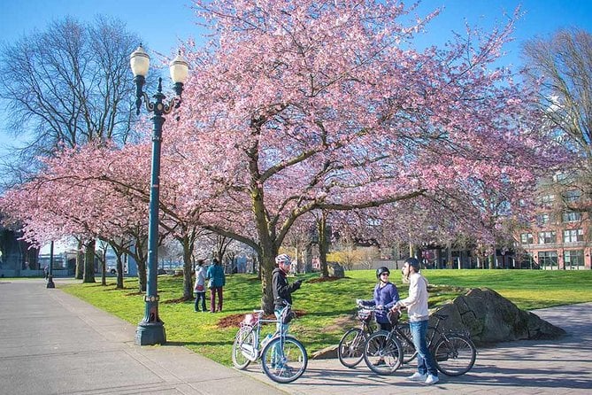 Scenic Portland Bike Tour