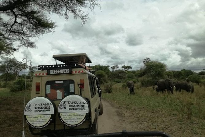 Tarangire Ngorongoro Lake Manyara Safari