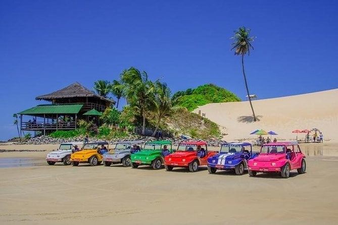 Natal North Coast Buggy Tour