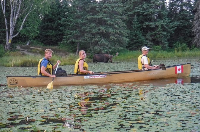 Algonquin Canoe & Camp Adventure