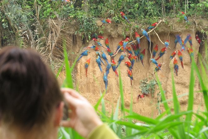 Tambopata National Reserve Tour