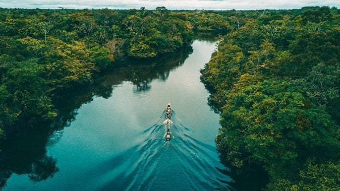 Amazon Jungle Tour