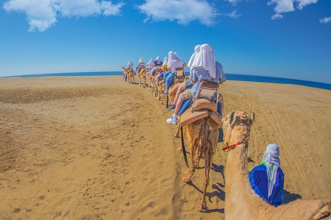 Cabo San Lucas Camel Ride