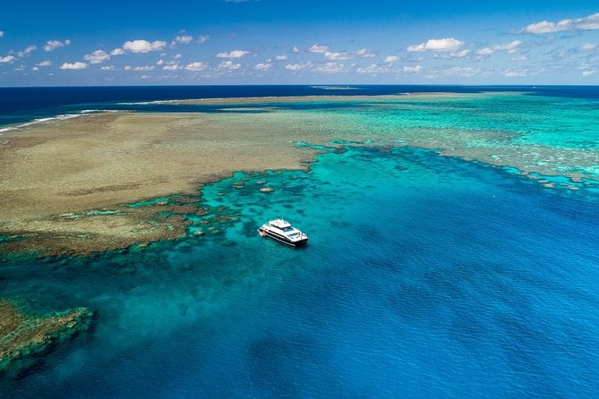Great Barrier Reef Dive