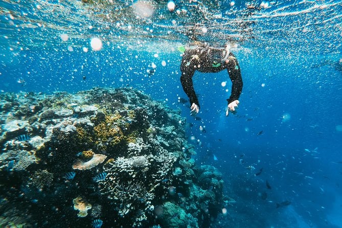 La Jolla Kayak Tour